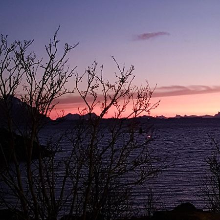 Villa Lofotbo Stamsund Exterior foto